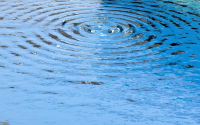 The Ripple Effect – Crafting Positive, Empowering Messages